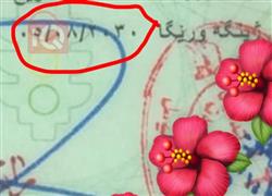 تۆیۆتا لاند کروزەر